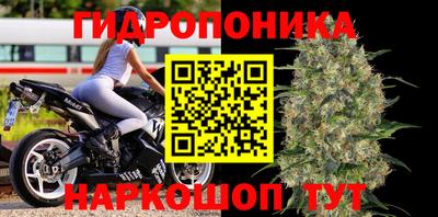 ПСИЛОЦИБИНОВЫЕ ГРИБЫ Кинель