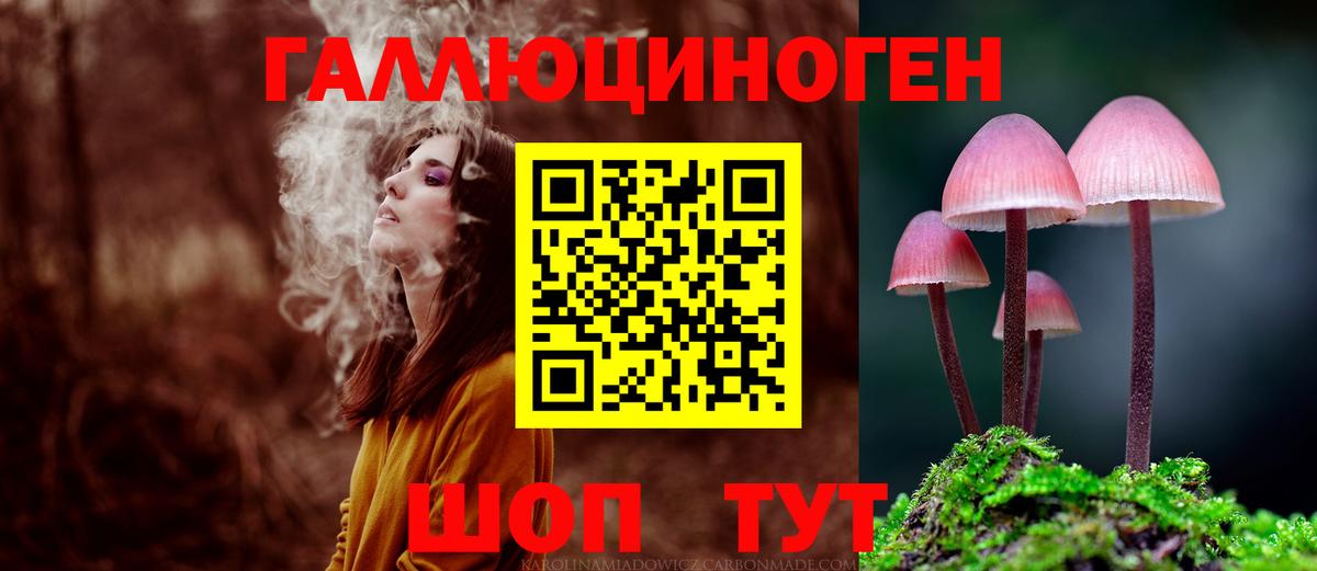 Галлюциногенные грибы Psilocybe  Вход с VPN  Кострома 